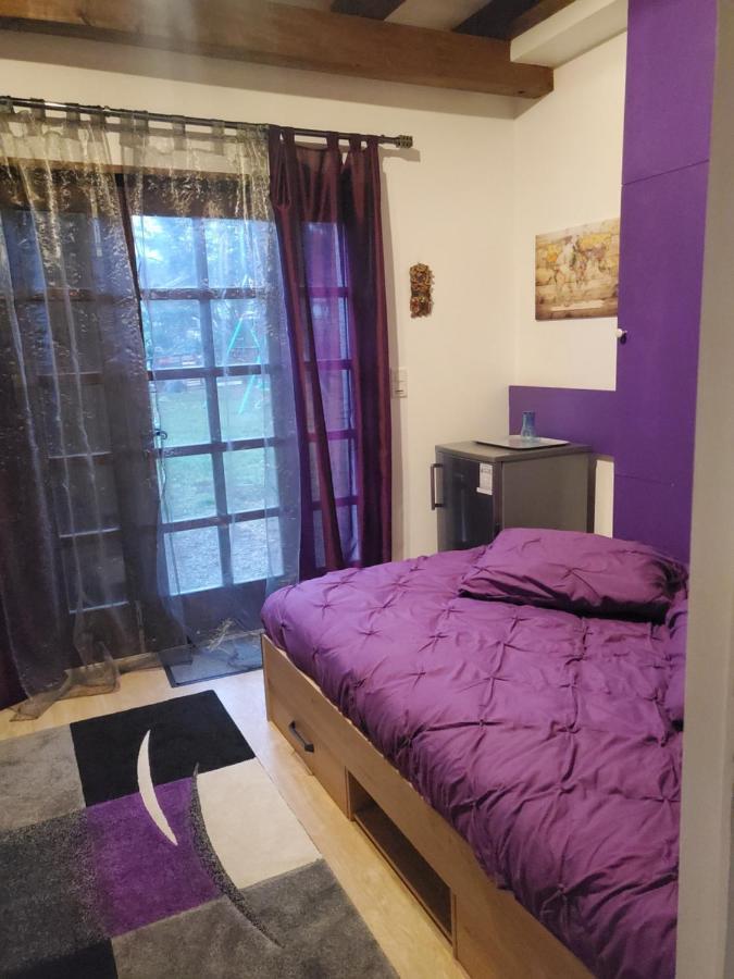 Maison Le Lezard Chez Amalia Et Fred Thonon-les-Bains Zewnętrze zdjęcie
