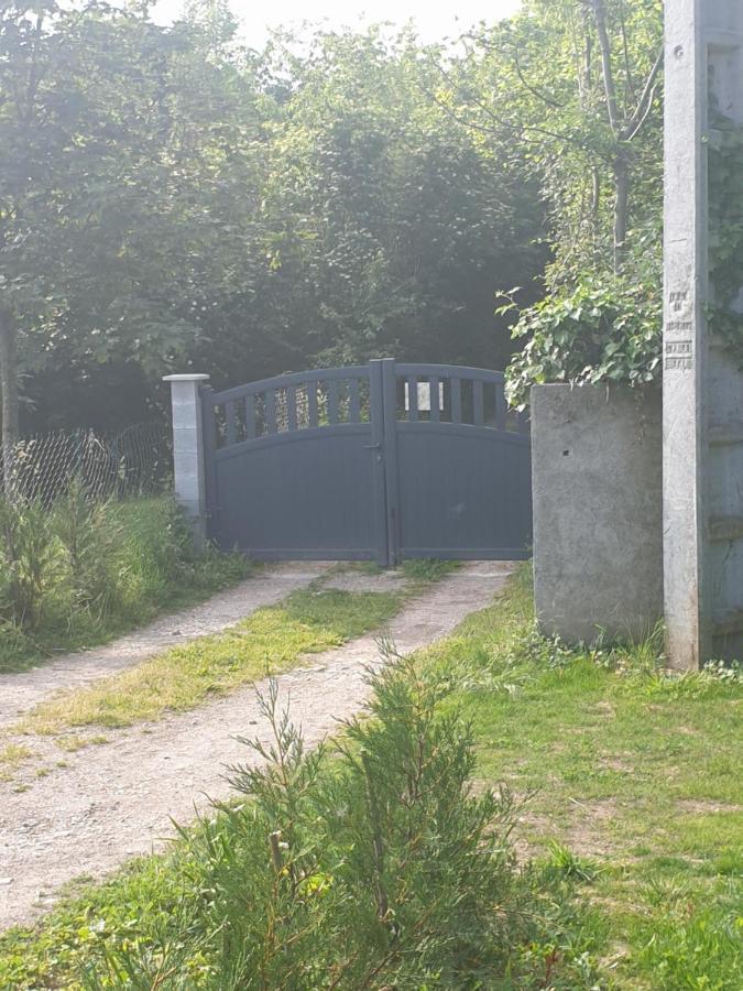 Maison Le Lezard Chez Amalia Et Fred Thonon-les-Bains Zewnętrze zdjęcie